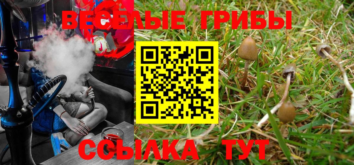 Узловая  Псилоцибиновые грибы Magic Shrooms  Вход с VPN 